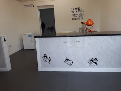 Vivi's Dog Grooming