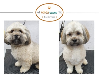 Grooming Van Image