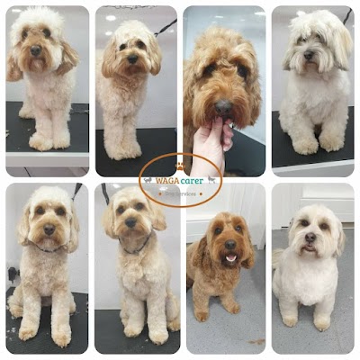 Grooming Van Image