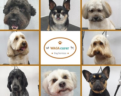 Grooming Van Image