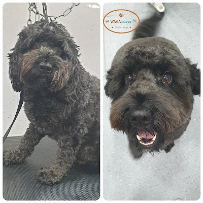 Grooming Van Image