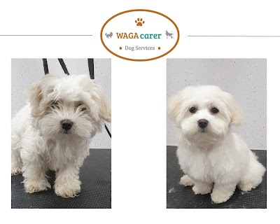 Grooming Van Image
