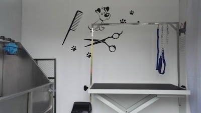 Grooming Van Image