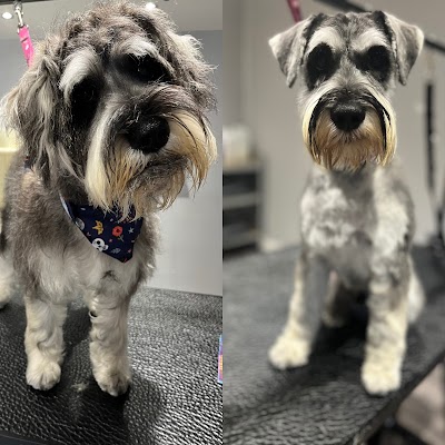 Grooming Van Image