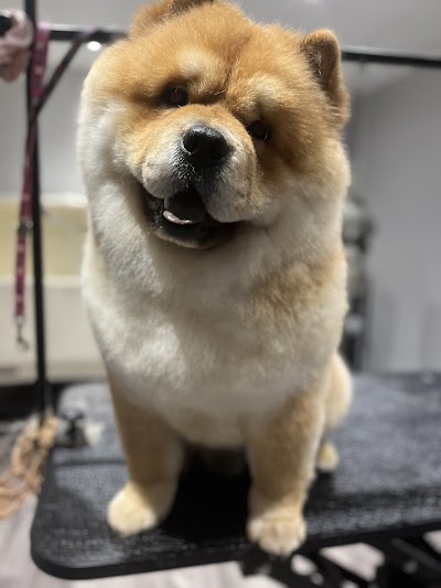 Grooming Van Image