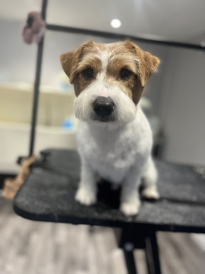 Grooming Van Image