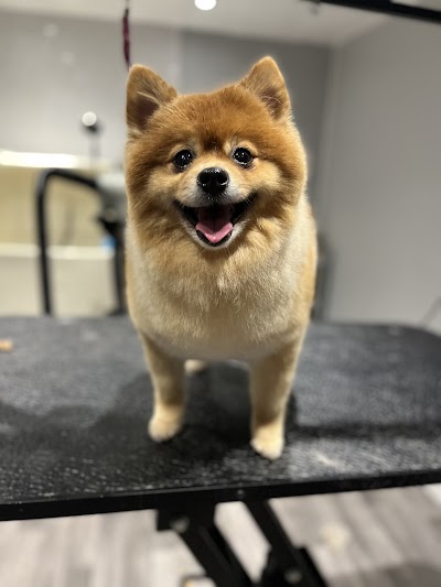 Grooming Van Image