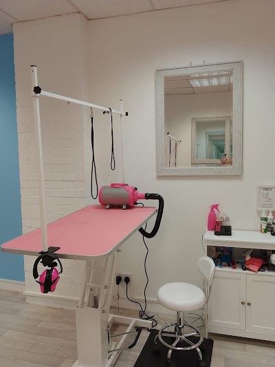 Grooming Van Image