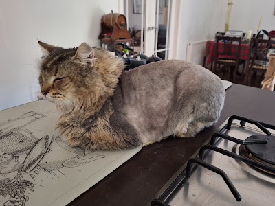 Grooming Van Image