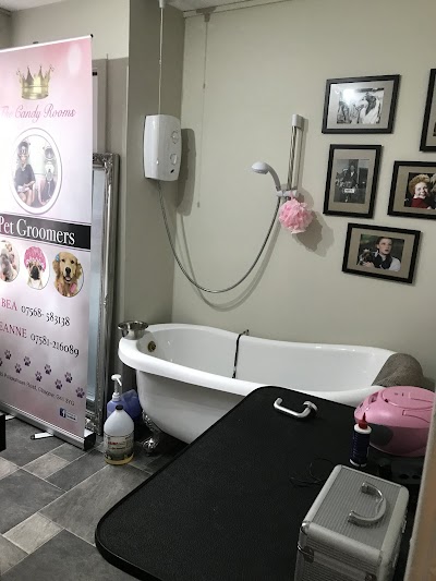 Grooming Van Image