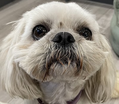 Grooming Van Image