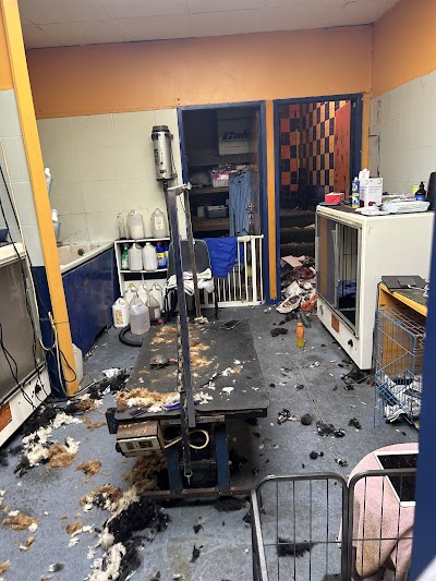 Grooming Van Image