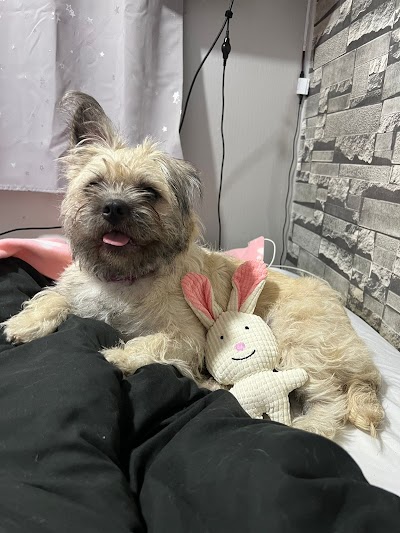Grooming Van Image