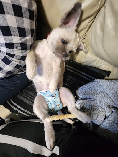 Grooming Van Image