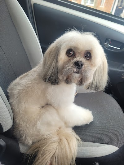 Grooming Van Image