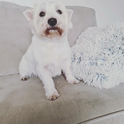 Grooming Van Image