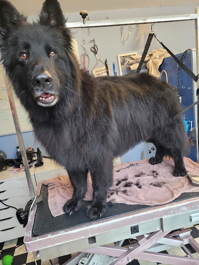 Grooming Van Image