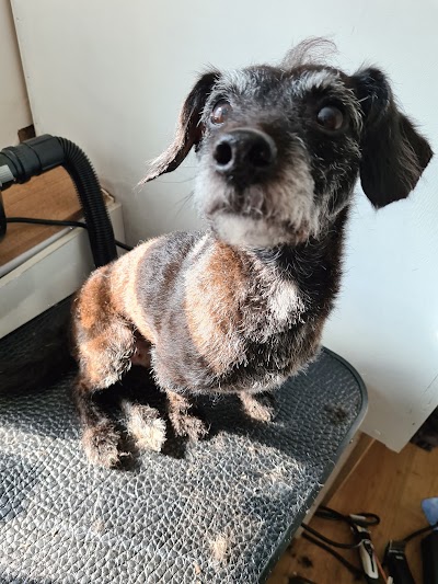 Grooming Van Image