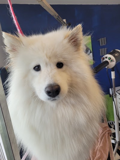 Grooming Van Image