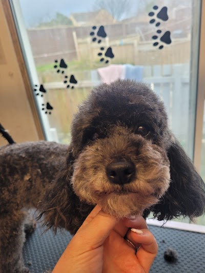 Grooming Van Image
