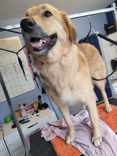 Grooming Van Image