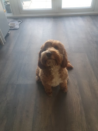 Grooming Van Image