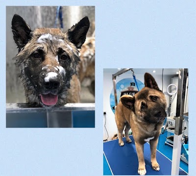 Grooming Van Image