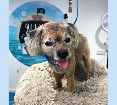 Grooming Van Image
