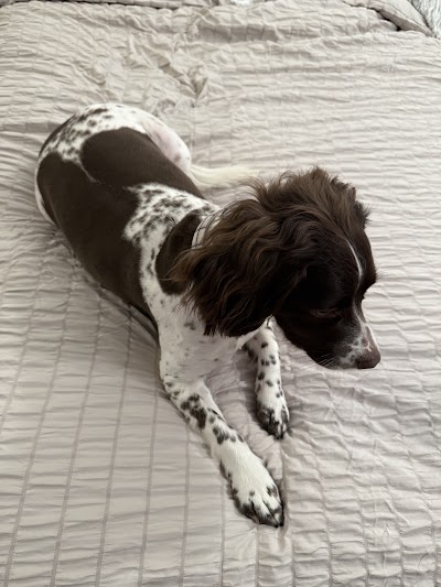 Grooming Van Image