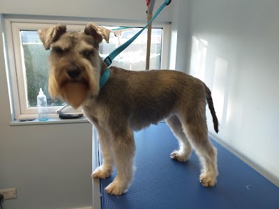 Grooming Van Image
