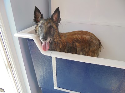 Grooming Van Image