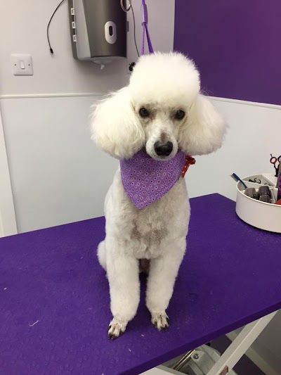 Grooming Van Image