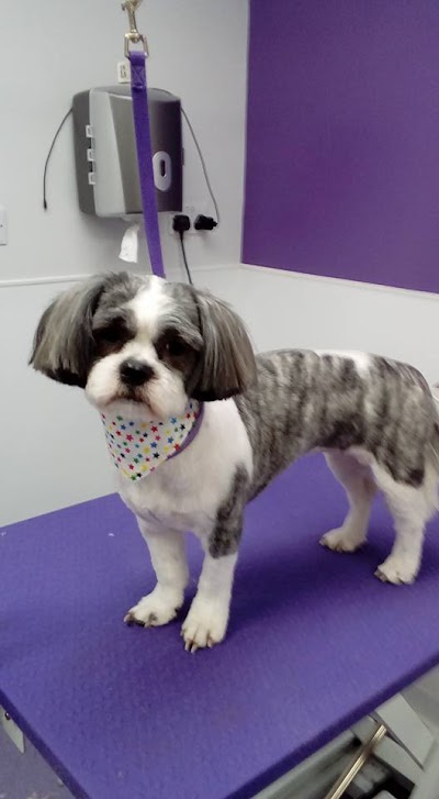 Grooming Van Image
