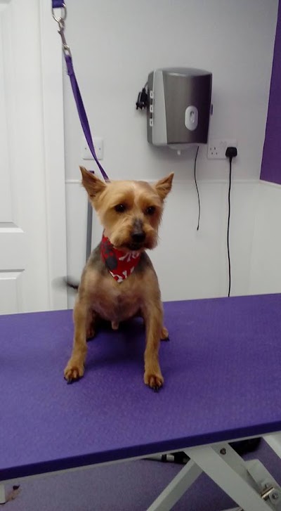 Grooming Van Image