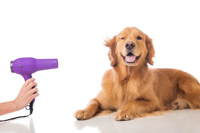 Barkleys Grooming