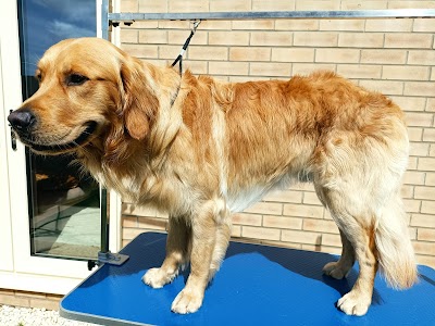 Grooming Van Image