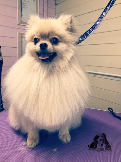 Grooming Van Image