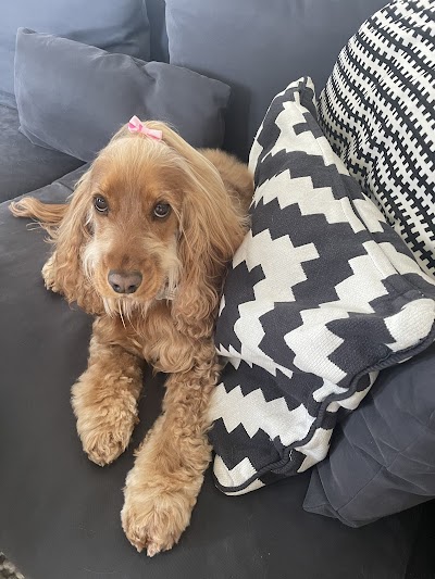 Grooming Van Image