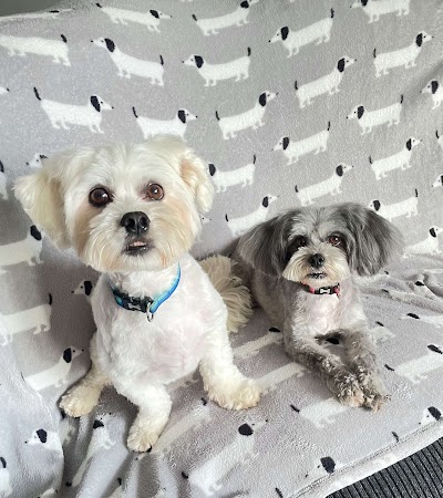 Grooming Van Image