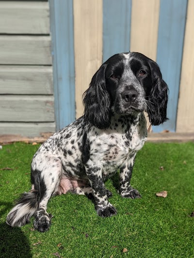 Grooming Van Image
