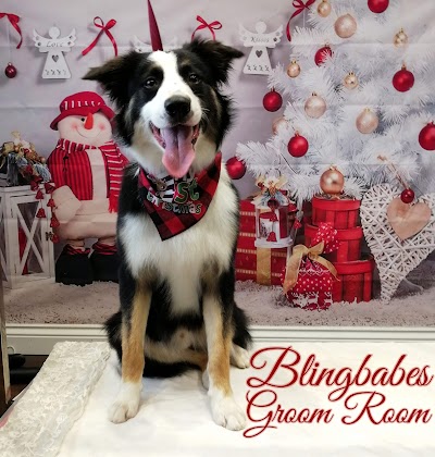 Blingbabes Groom Room Dog Groomer