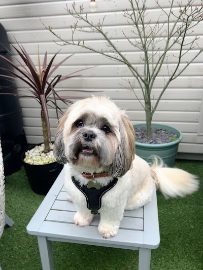 Grooming Van Image