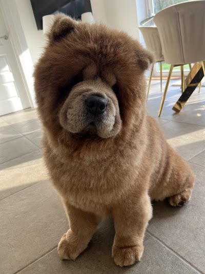 Grooming Van Image