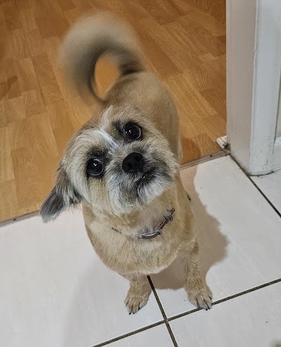 Grooming Van Image