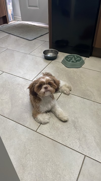 Grooming Van Image