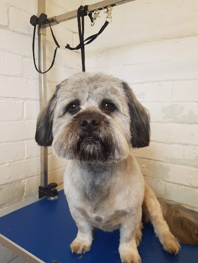 Grooming Van Image