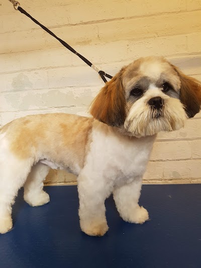 Grooming Van Image