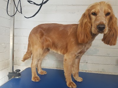 Grooming Van Image