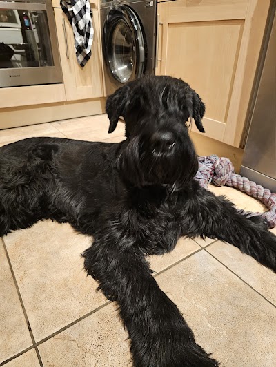 Grooming Van Image