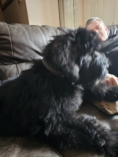 Grooming Van Image
